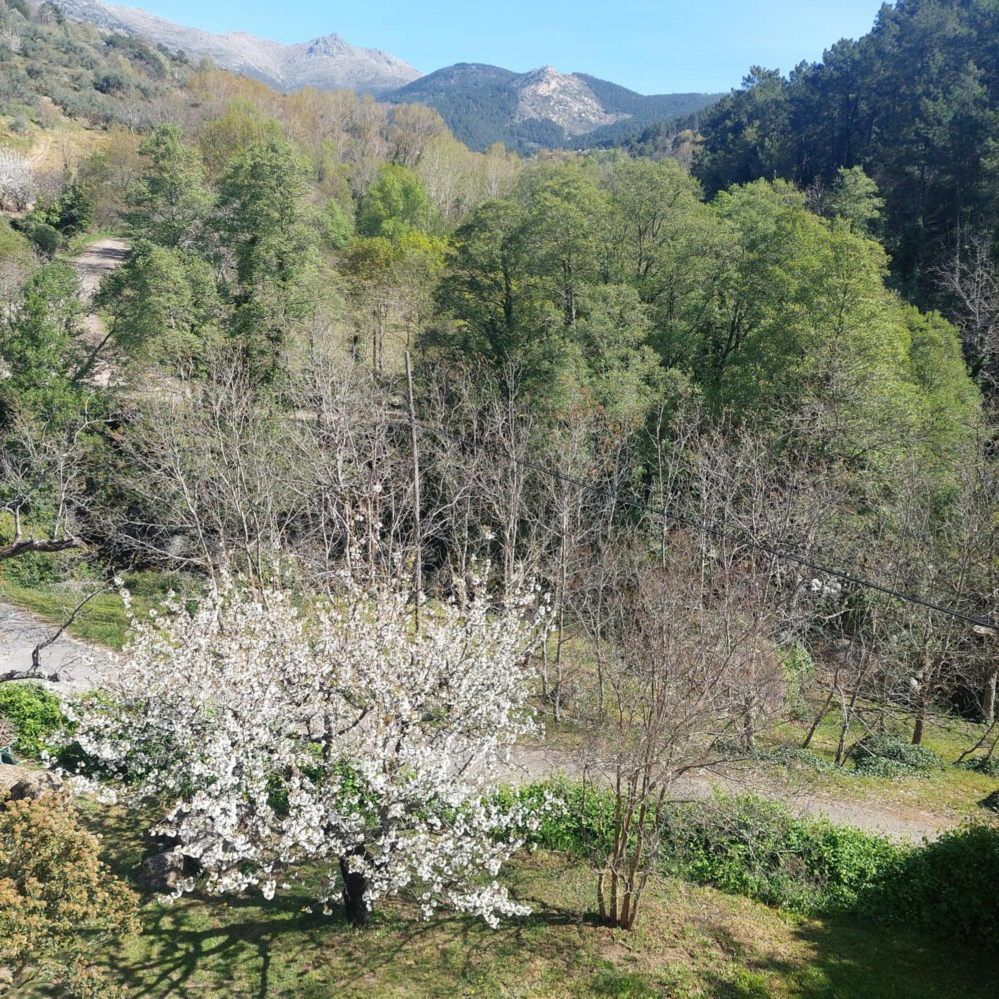 Puente Canto De Gredos Arenas de San Pedro Zewnętrze zdjęcie
